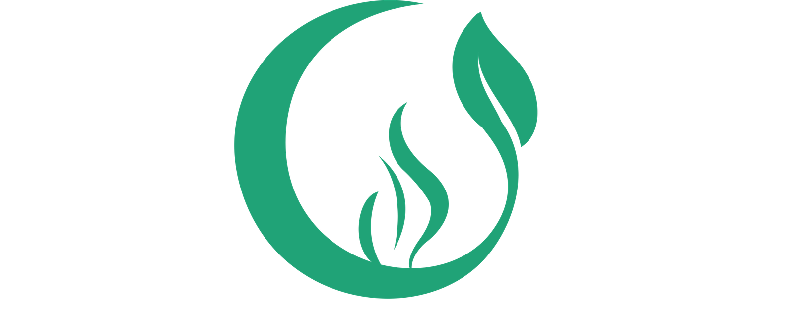 ZenHerb Tea