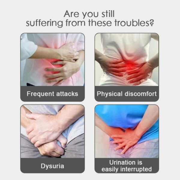 Kidney Wellness Tea | Natural Detox Support - Image 4